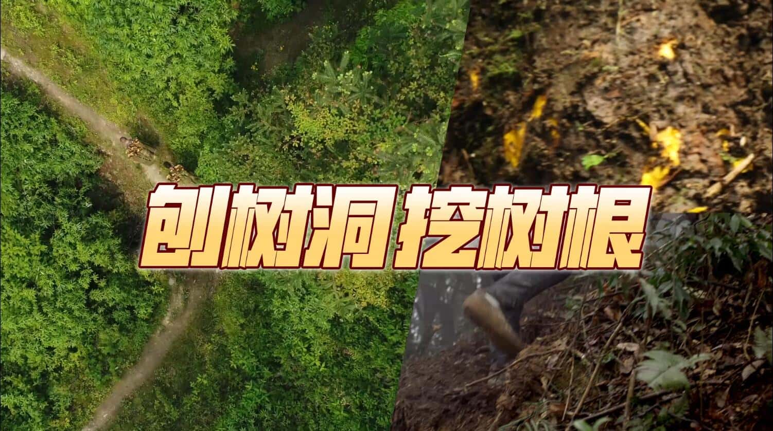 20220618132820819902.jpg 印尼苗人樘育发液7.jpg