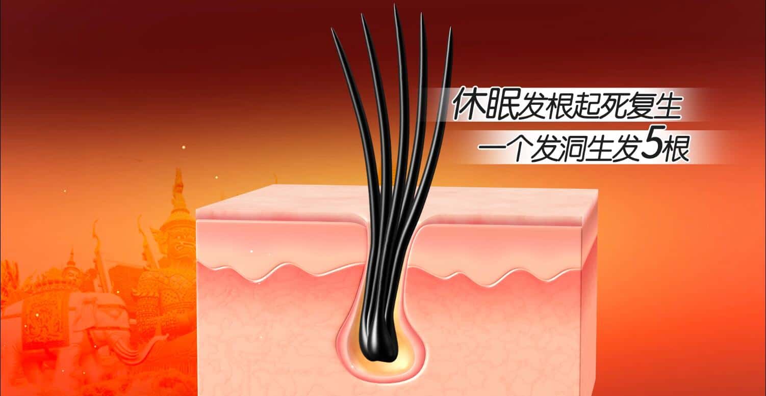 20220618132840964009.jpg 印尼苗人樘育发液10.jpg