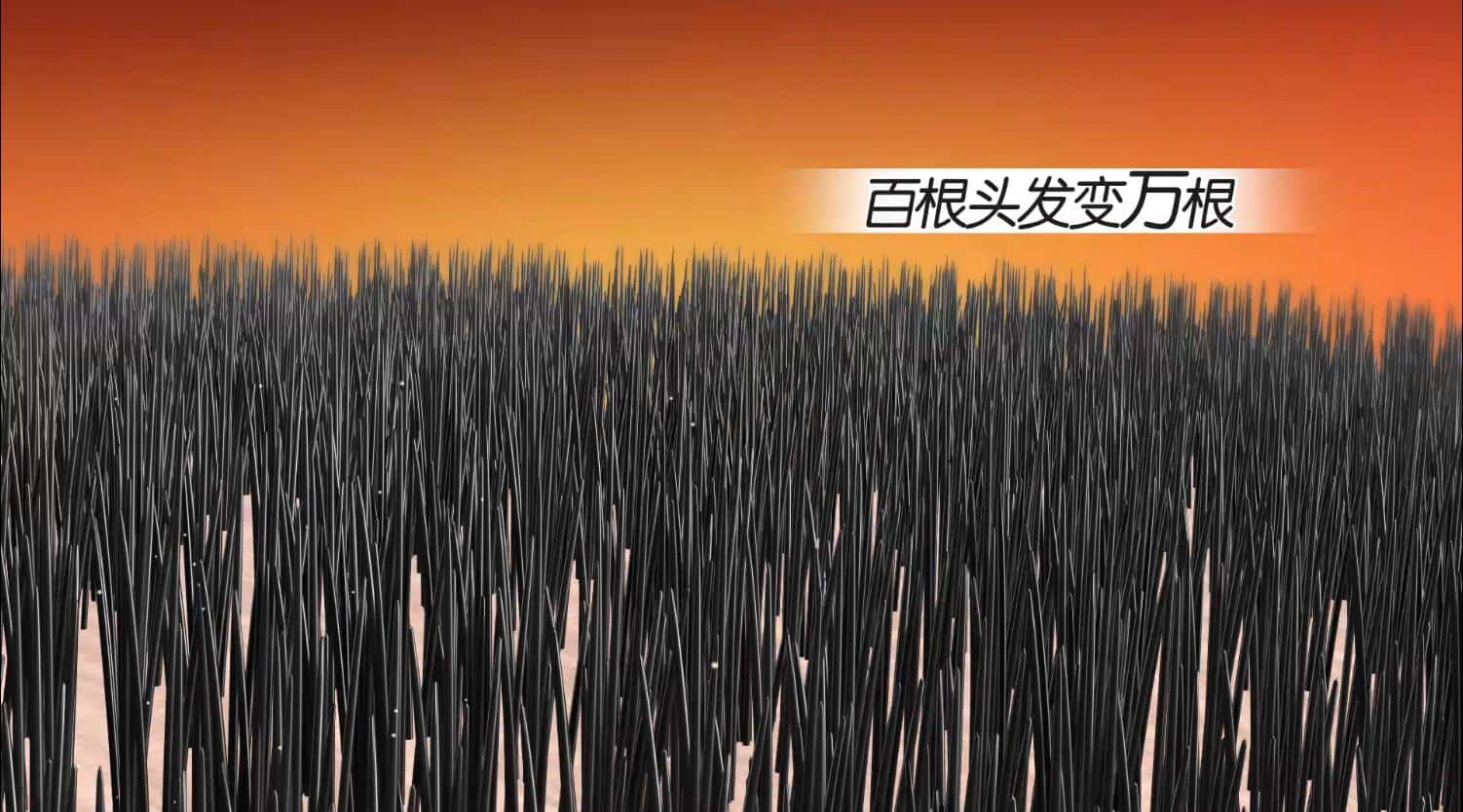 20220618132847546862.jpg 印尼苗人樘育发液11.jpg